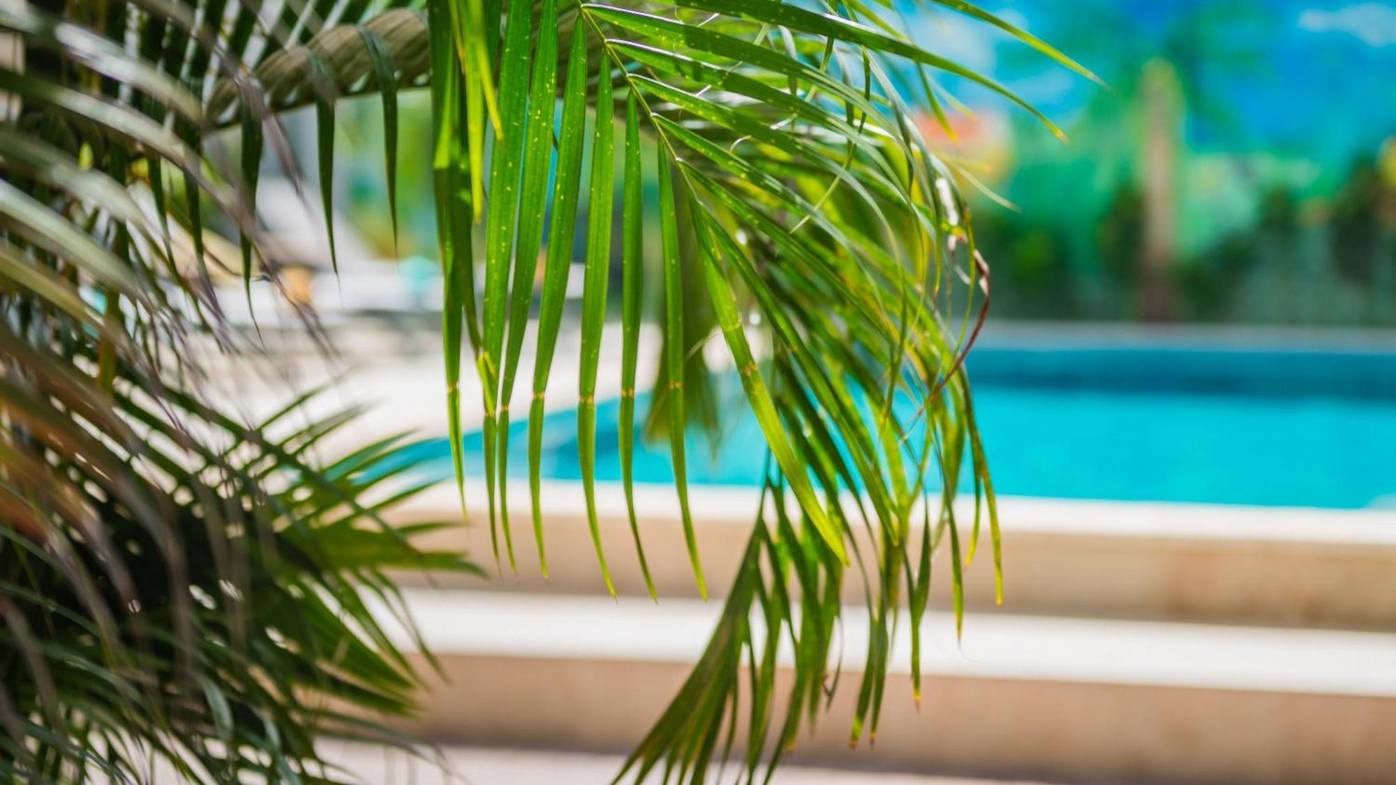 Casita Palma Boutique Resort Kralendijk  Exterior foto